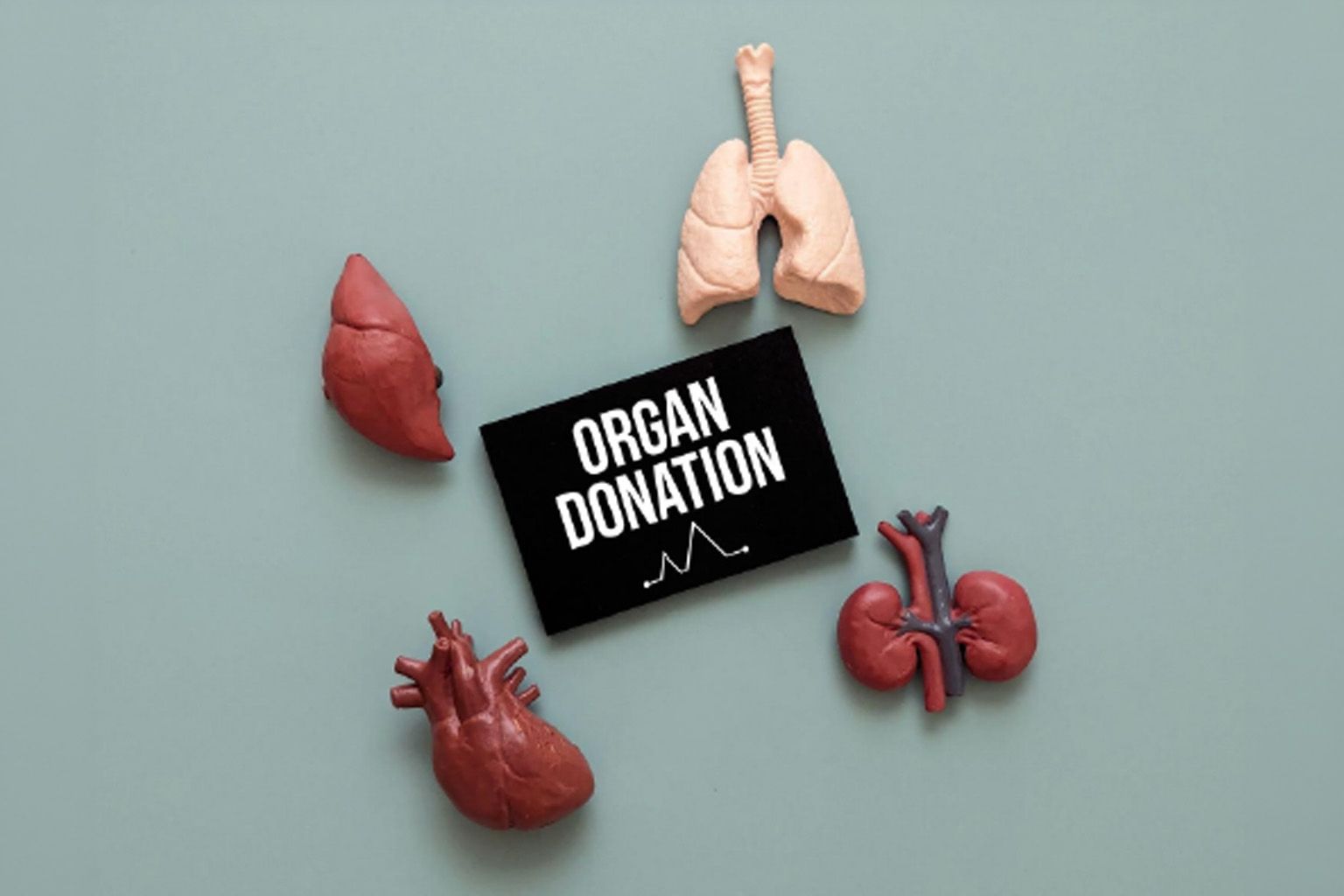 42 days special casual leave for Organ Donors: DoPT rules for central government employees