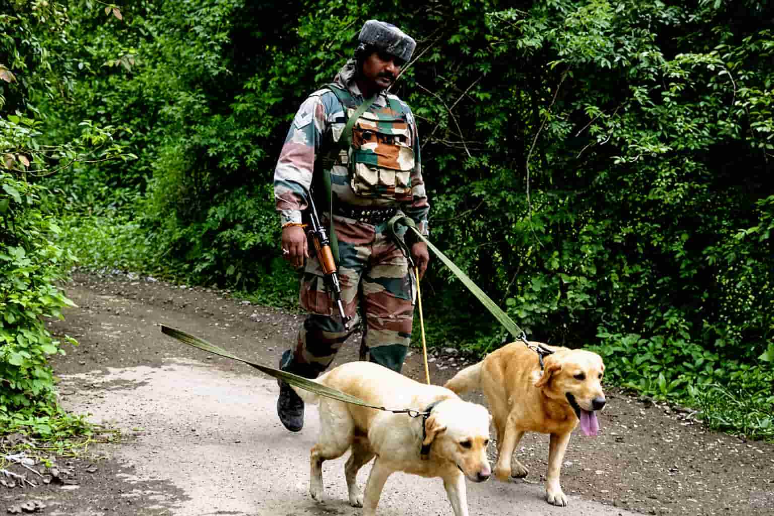 Buddy System debate: Why jawan dignity has again reached Parliament?